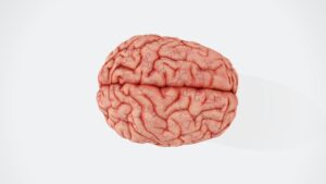Mentalidade de Crescimento e Sucesso na Carreira