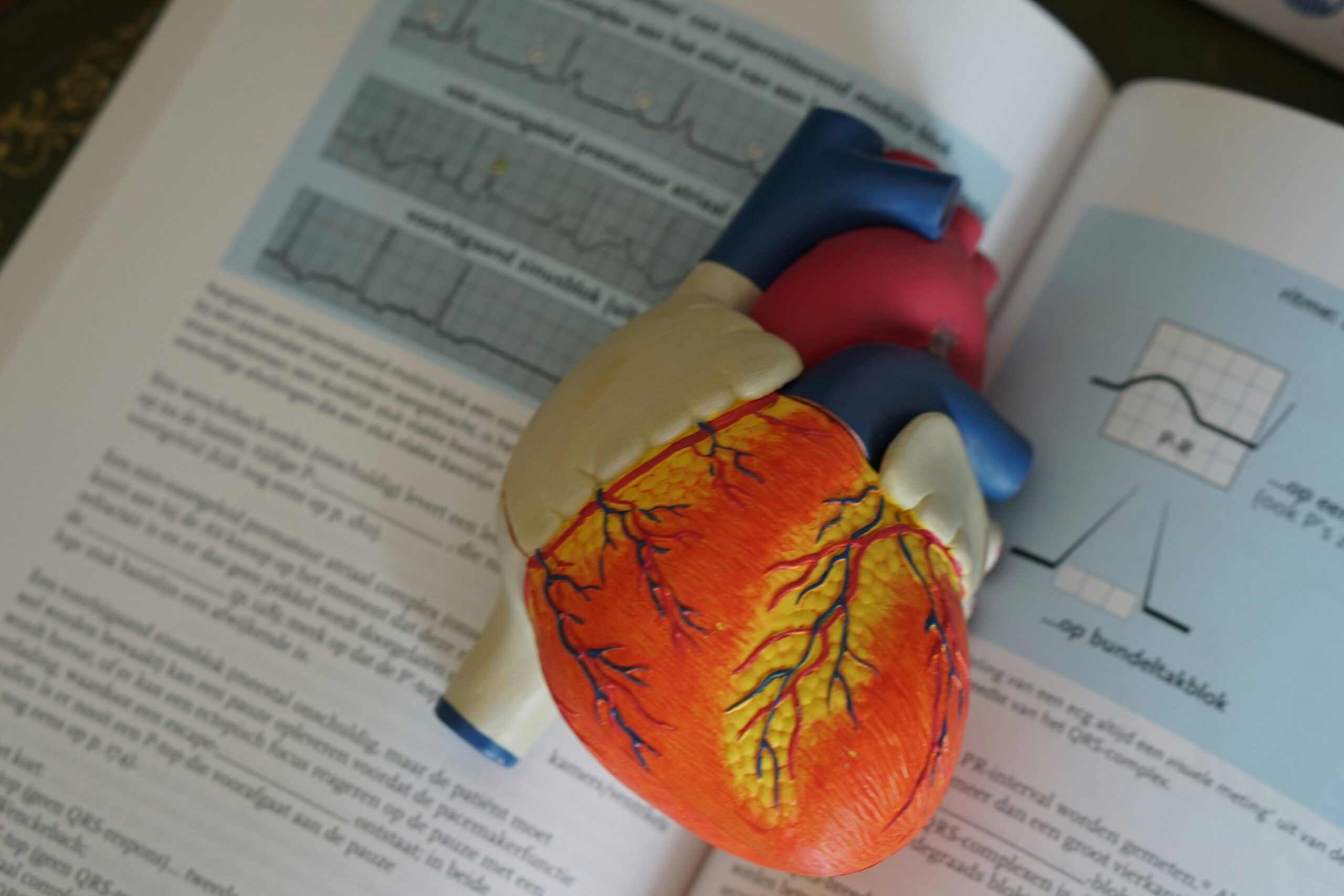 Saúde Cardiovascular Masculina: O Que Monitorar Antes dos 50